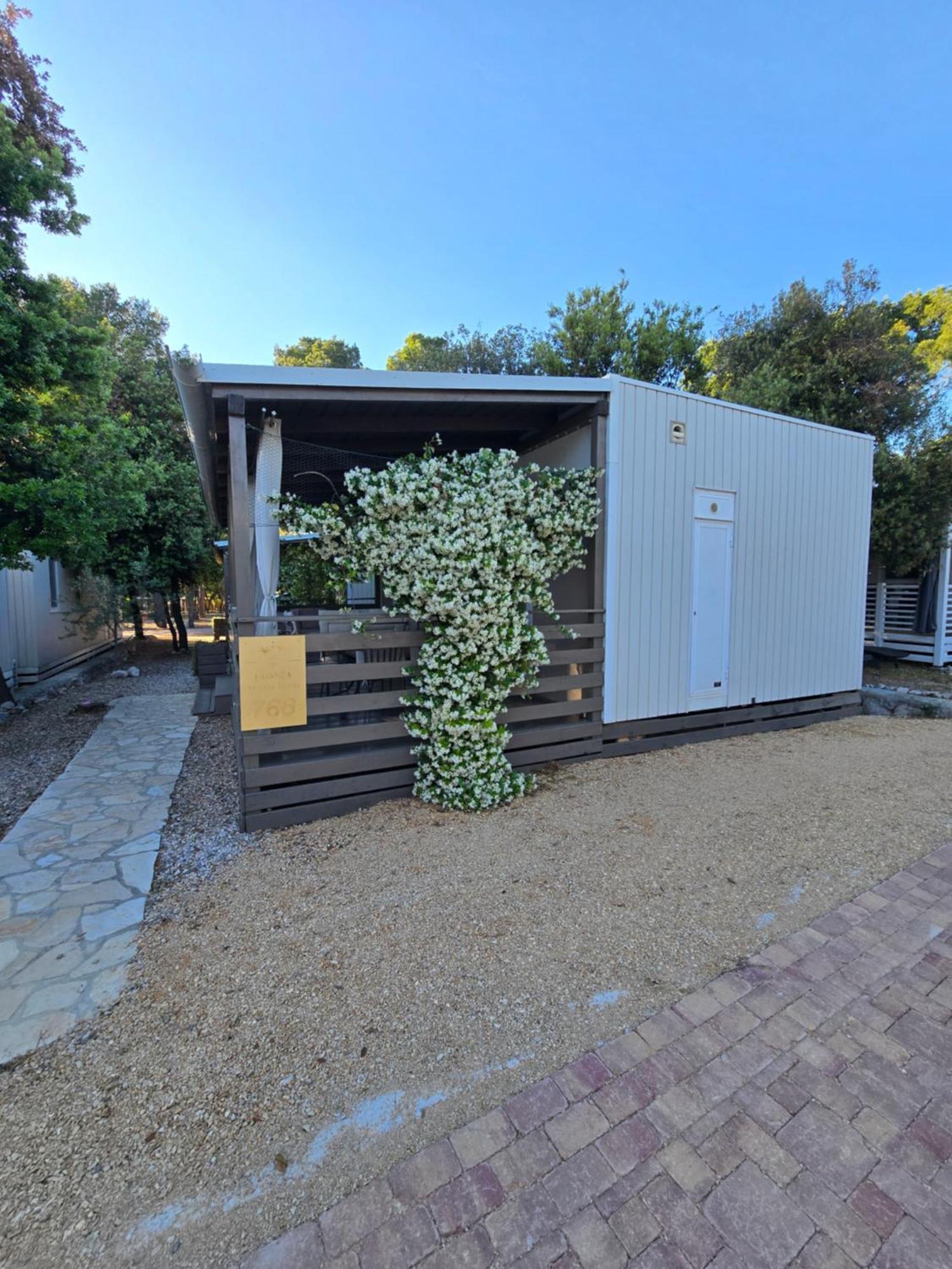 Holiday Homes Lavanda - Biograd Na Moru Dış mekan fotoğraf